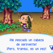 Cabeza De Serpiente Animal Crossing Enciclopedia Fandom
