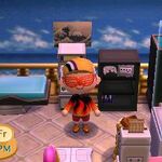 Set Etageres Animal Crossing Wiki Fandom
