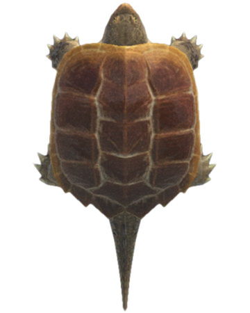 Snapping Turtle Animal Crossing Wiki Fandom