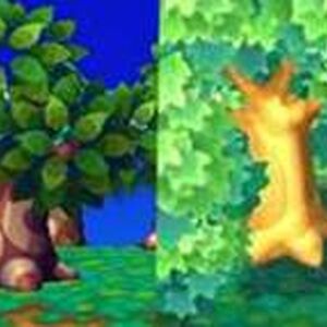Tree Animal Crossing Wiki Fandom