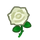 NH-white rose icon