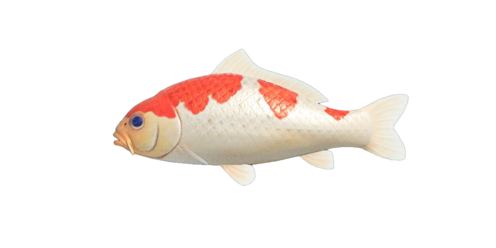 koi-animal-crossing-enciclopedia-fandom