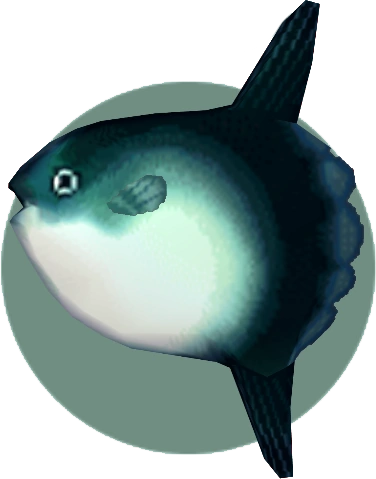 Ocean sunfish | Animal Crossing Wiki | Fandom