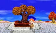 Plaza | Animal Crossing Wiki | FANDOM powered by Wikia