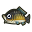 NH-Icon-carp