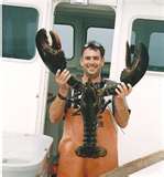 Real Lobster
