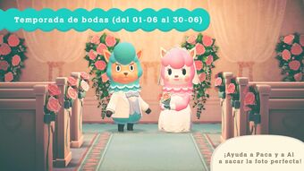 Temporada De Bodas Animal Crossing Enciclopedia Fandom