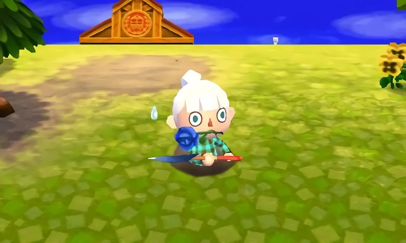 Pitfall Seed Animal Crossing Wiki Fandom