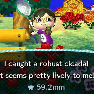 Robust Cicada Animal Crossing Wiki Fandom