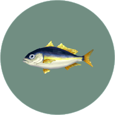 Horse mackerel | Animal Crossing Wiki | Fandom