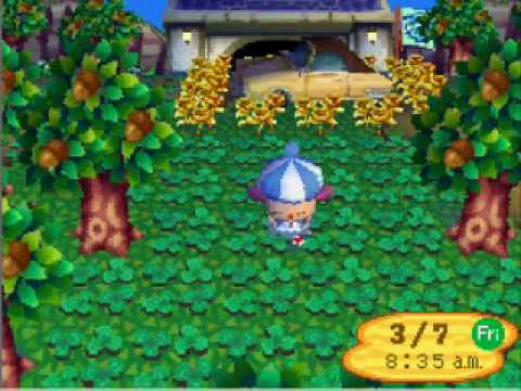Animal crossing rom reddit