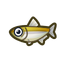 NH-Icon-pondsmelt