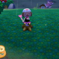 Stump Animal Crossing Wiki Fandom