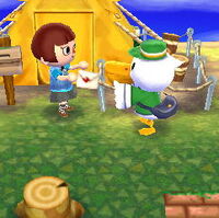 Letter Animal Crossing Wiki Fandom