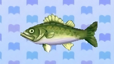 Image result for animal crossing sea bass