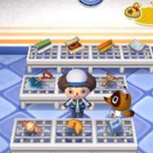 Fortune Cookie Animal Crossing Wiki Fandom