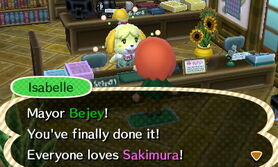 Perfect Town | Animal Crossing Wiki | FANDOM powered by Wikia