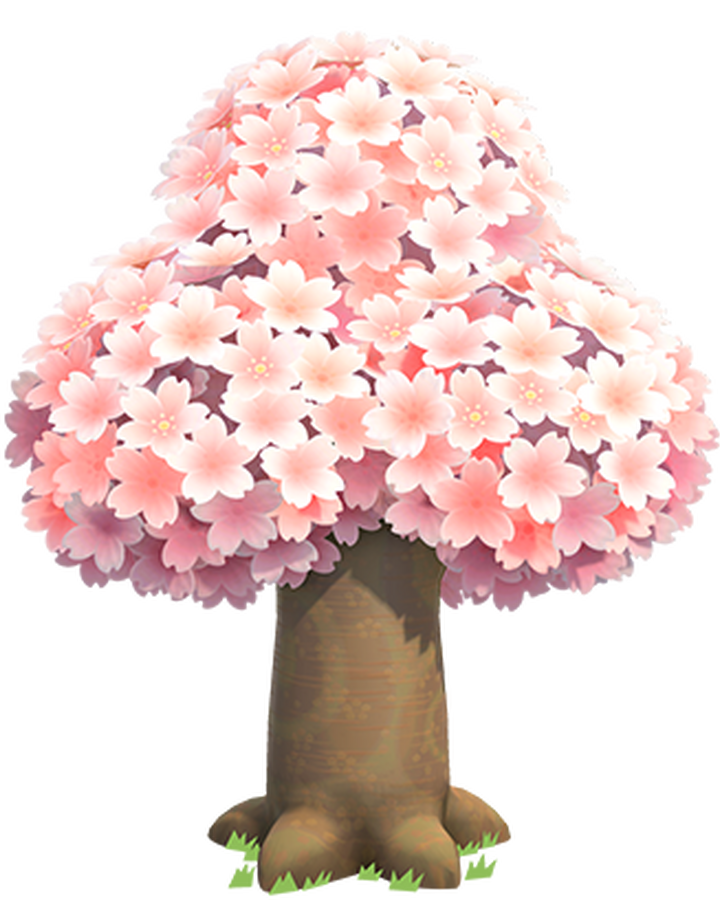 Cherry Blossoms Series New Horizons Animal Crossing Wiki Fandom