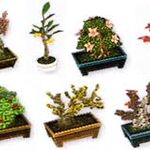 Bonsai Set Animal Crossing Wiki Fandom