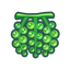 NH-Icon-uvas de mar