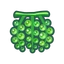 NH-Icon-uvas de mar
