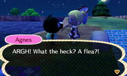 Agnes | Animal Crossing Wiki | FANDOM powered by Wikia