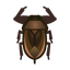 NH-Icon-giantwaterbug