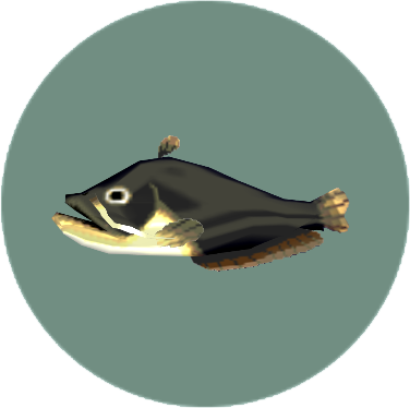 動森-鯰魚