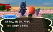 Groucho | Animal Crossing Wiki | FANDOM powered by Wikia