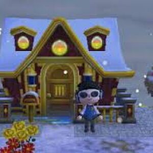 Maison Animal Crossing Wiki Fandom