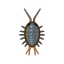 NH-Icon-wharfroach