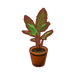 PC-FurnitureIcon-fan palm