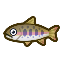 Cherry Salmon