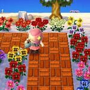 Watering Can Animal Crossing Wiki Fandom