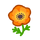 NH-orange windflowers-icon