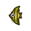 NH-Icon-angelfish