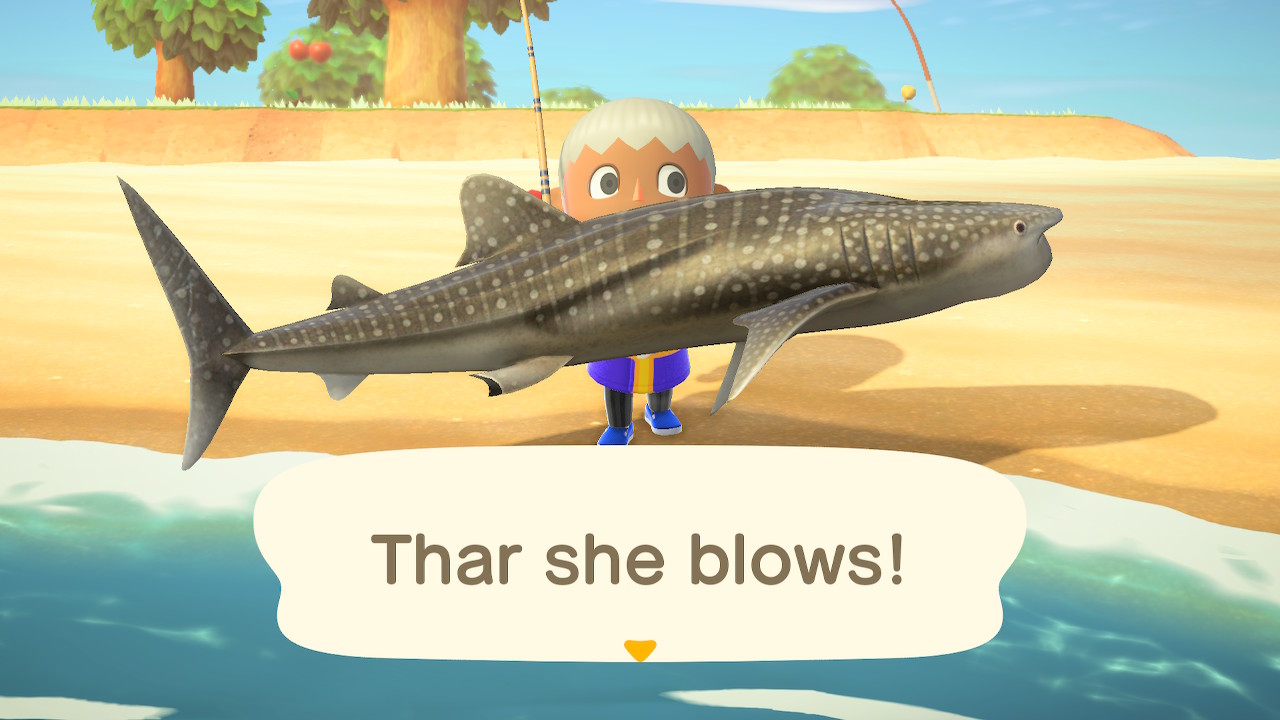 Whale shark | Animal Crossing Wiki | Fandom