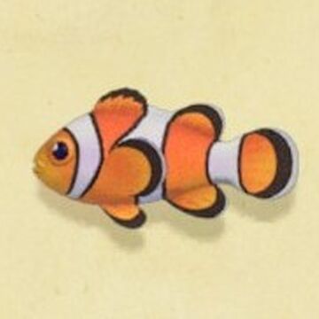 Clownfish Animal Crossing Wiki Fandom