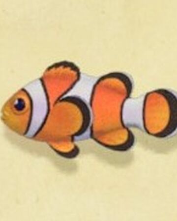 Clownfish Animal Crossing Wiki Fandom