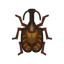 NH-Icon-violinbeetle