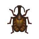 Violin beetle
