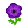 NH-purple windflowers-icon