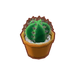 PC-FurnitureIcon-round mini cactus