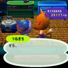 Redd Animal Crossing Wiki Fandom