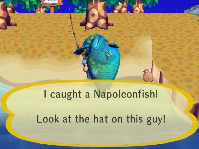 Napoleonfish | Animal Crossing Wiki | FANDOM powered by Wikia