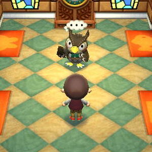 Museum Gallery Animal Crossing Wiki Fandom