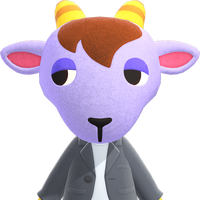 Kidd Animal Crossing Wiki Fandom