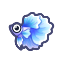 Betta
