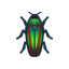 NH-Icon-joya escarabajo