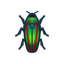 NH-Icon-jewelbeetle